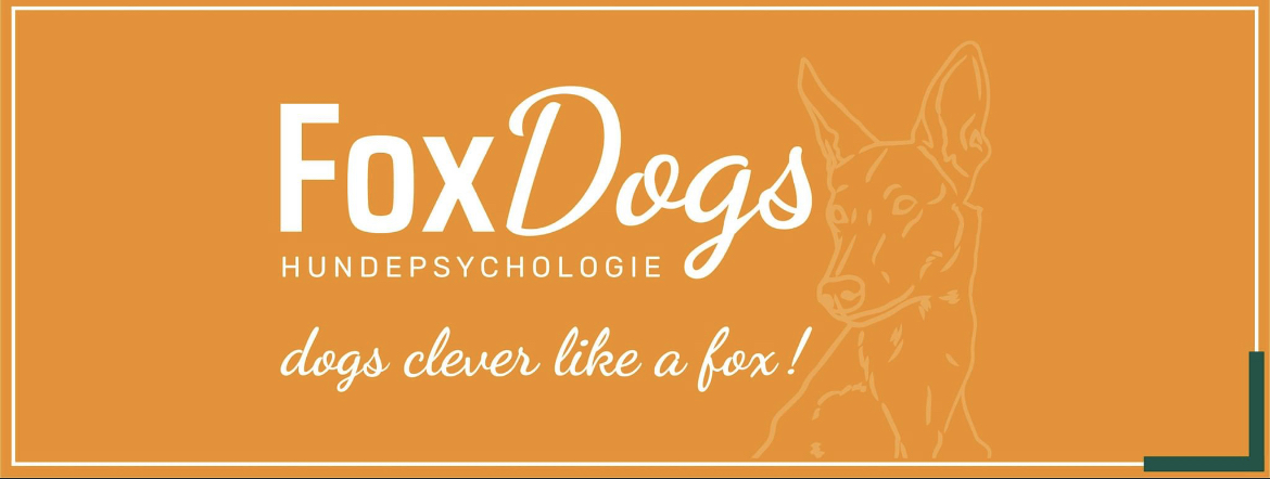 FoxDogs Logo